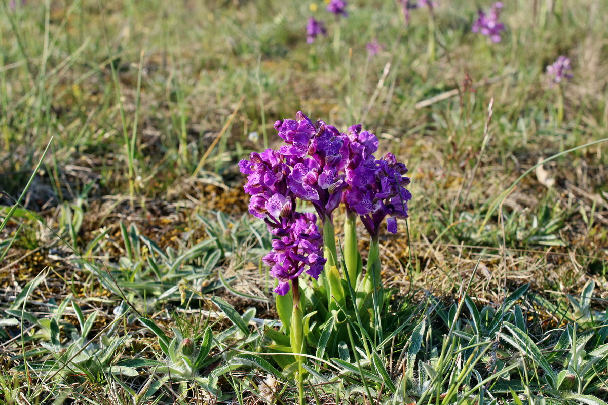 IMG-2016-05-05-00014000p_Bildgr��e �ndern