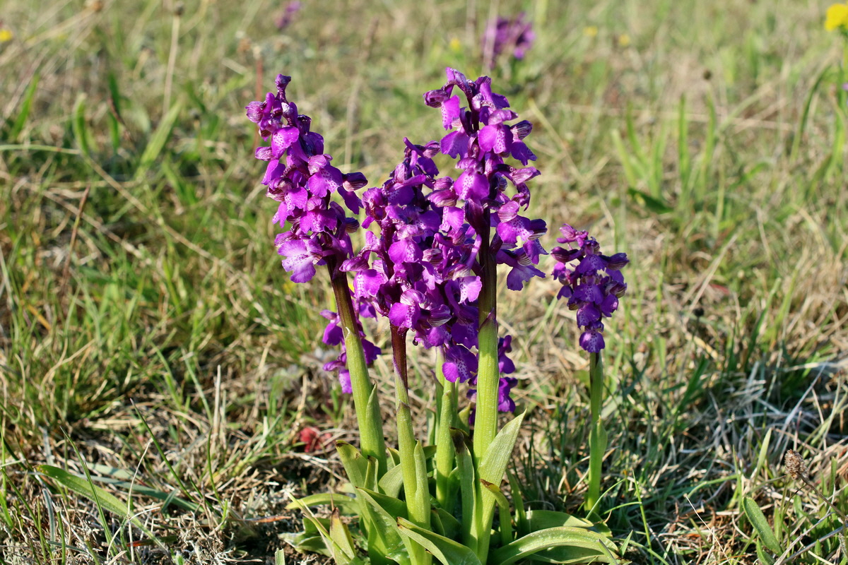 IMG-2016-05-05-00014005p_Bildgr��e �ndern