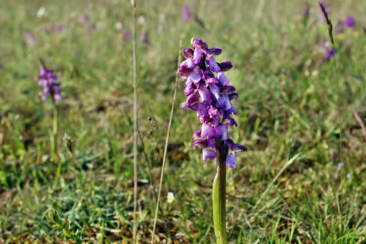 IMG-2016-05-05-00014007p_Bildgr��e �ndern