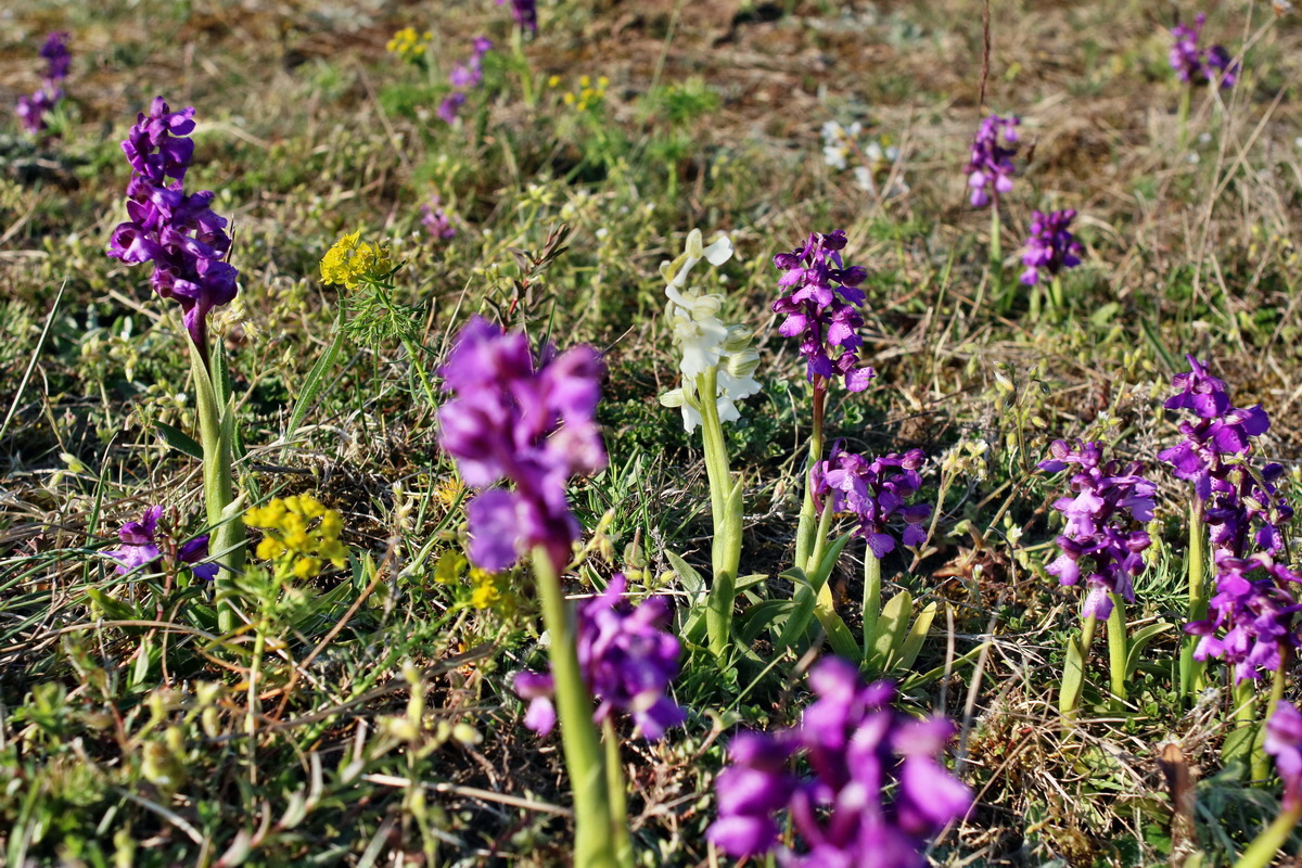 IMG-2016-05-05-00014017p_Bildgr��e �ndern