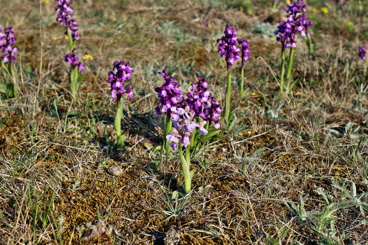 IMG-2016-05-05-00014019p_Bildgr��e �ndern