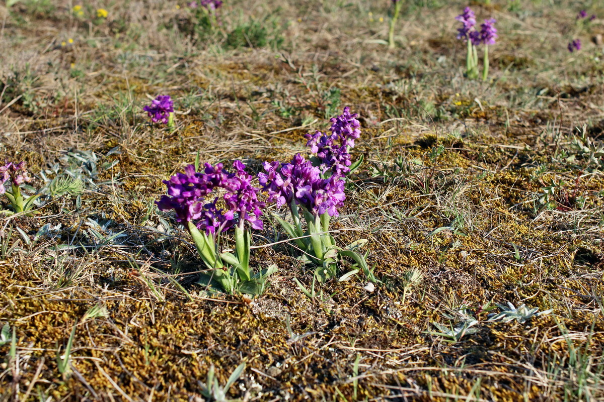 IMG-2016-05-05-00014022p_Bildgr��e �ndern