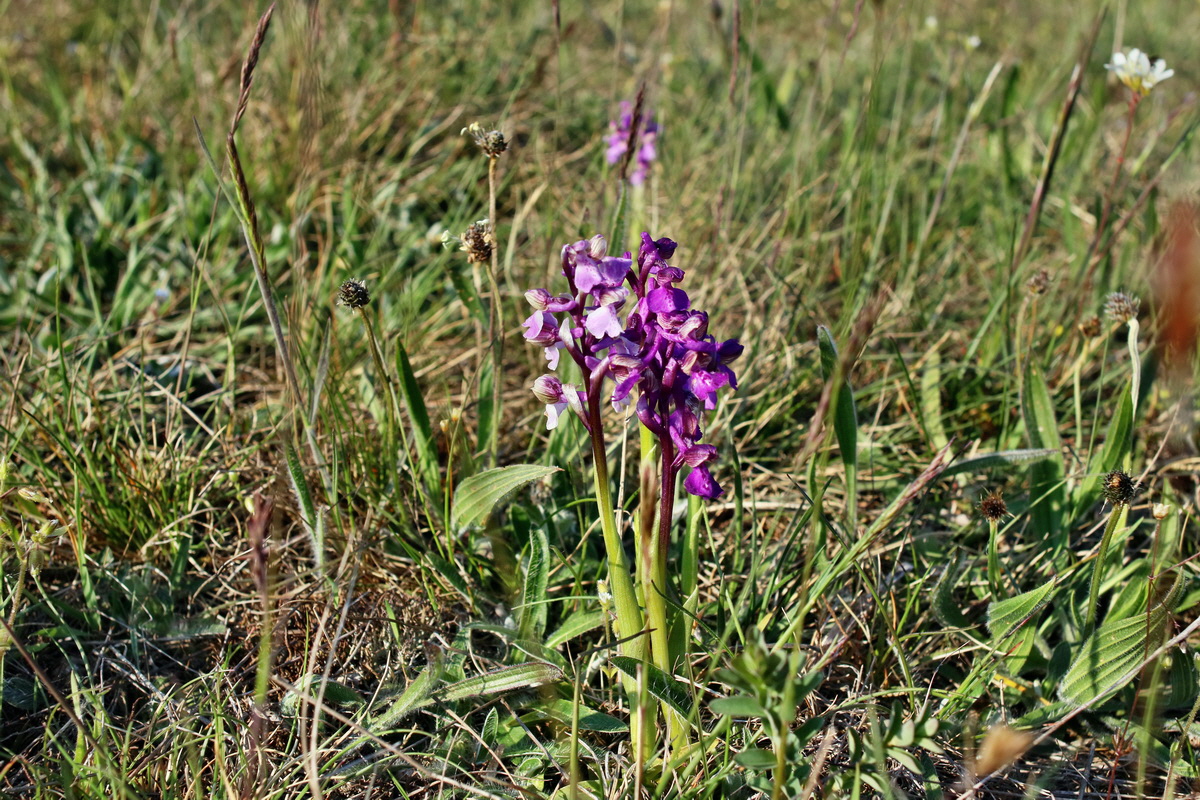 IMG-2016-05-05-00014025p_Bildgr��e �ndern