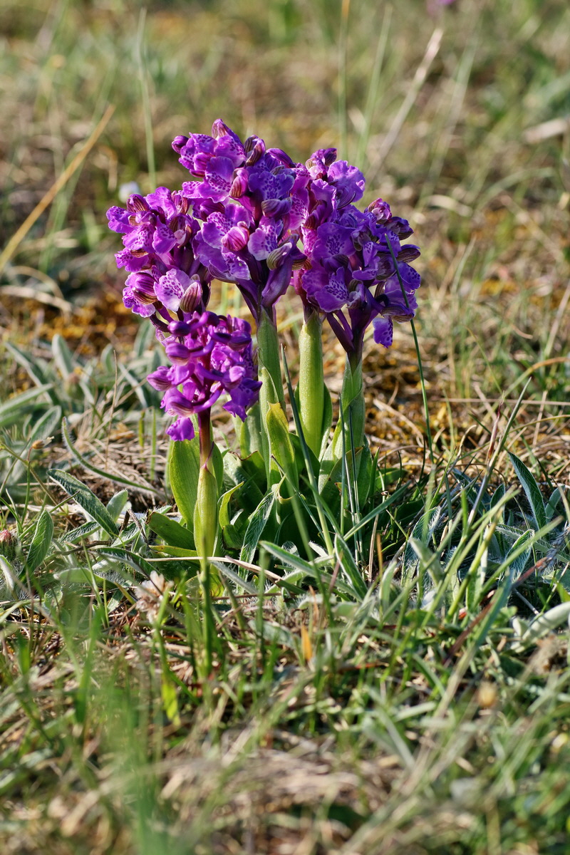 IMG-2016-05-05-00014030p_Bildgr��e �ndern