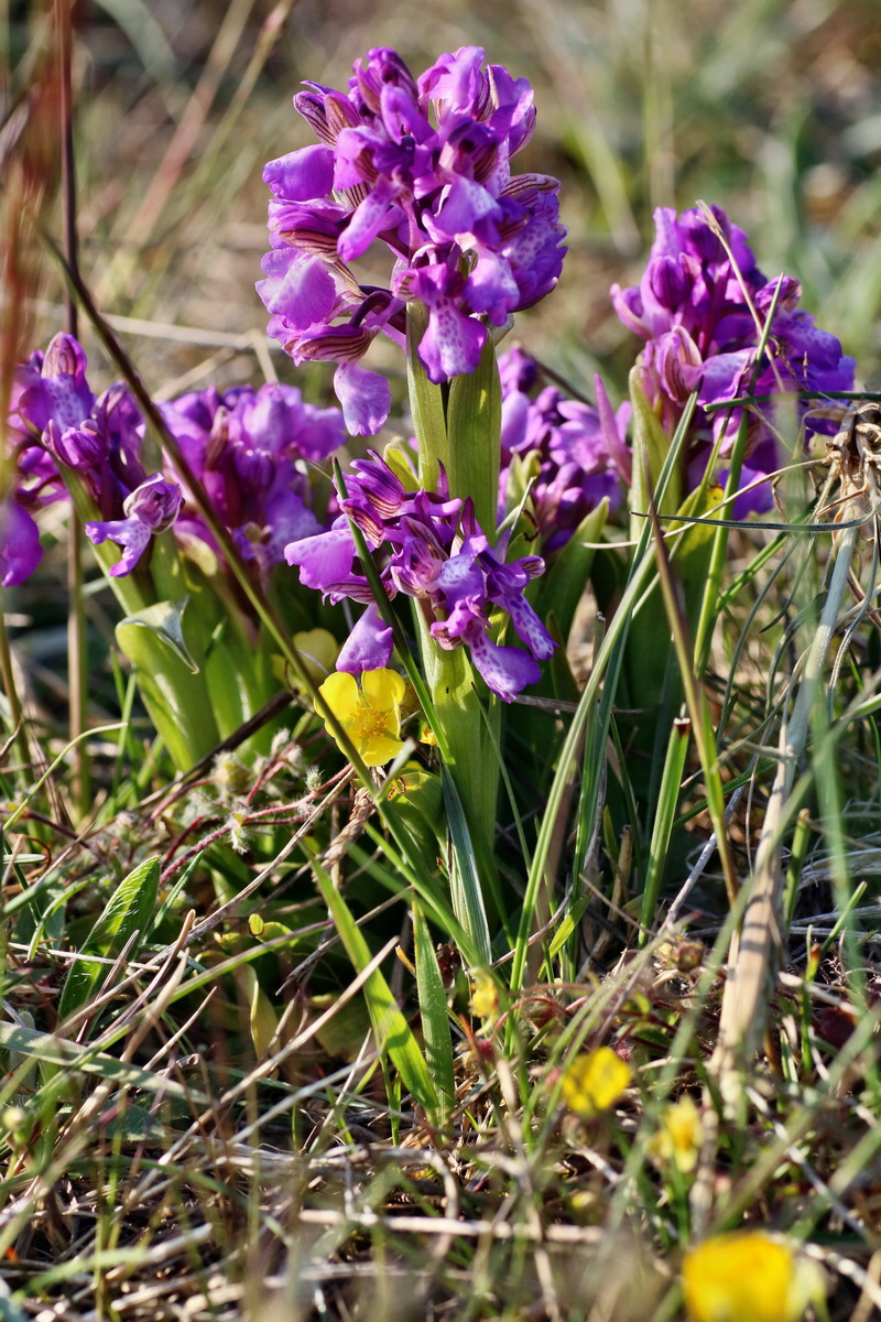 IMG-2016-05-05-00014032p_Bildgr��e �ndern