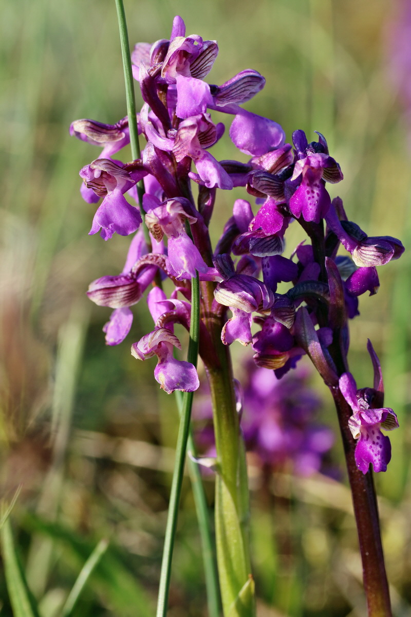 IMG-2016-05-05-00014034p_Bildgr��e �ndern