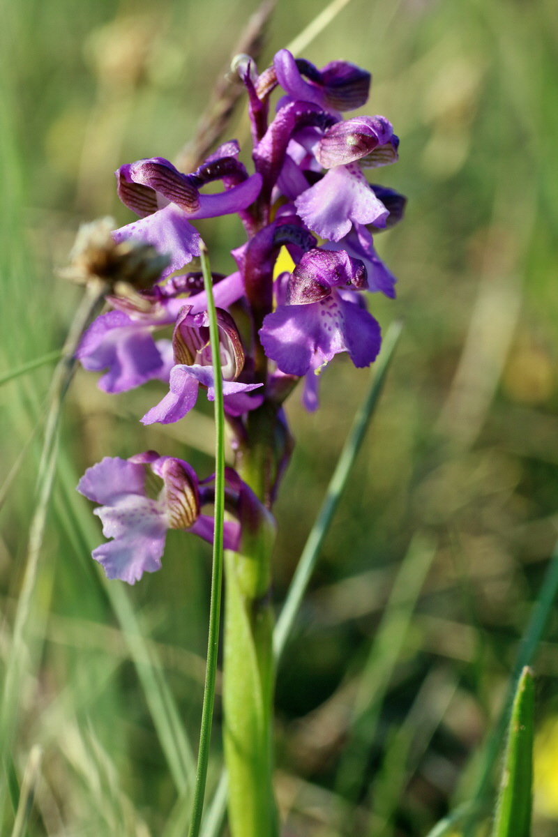 IMG-2016-05-05-00014037p_Bildgr��e �ndern