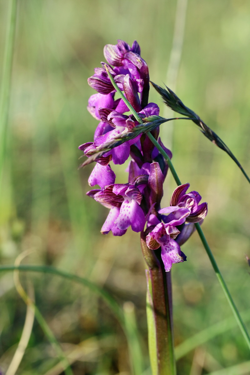 IMG-2016-05-05-00014038p_Bildgr��e �ndern