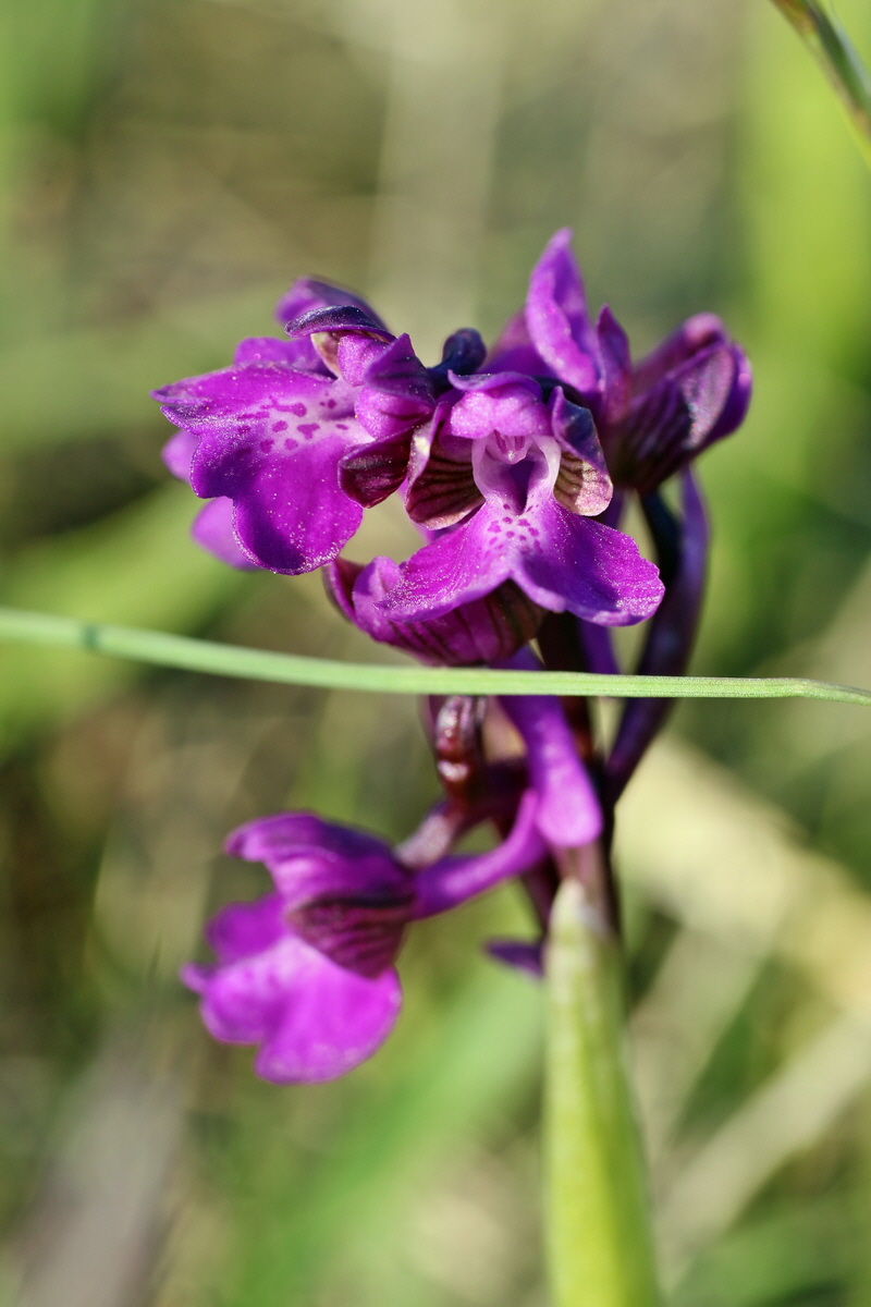 IMG-2016-05-05-00014042p_Bildgr��e �ndern