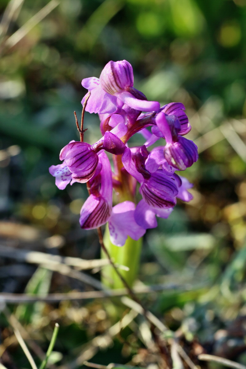 IMG-2016-05-05-00014044p_Bildgr��e �ndern