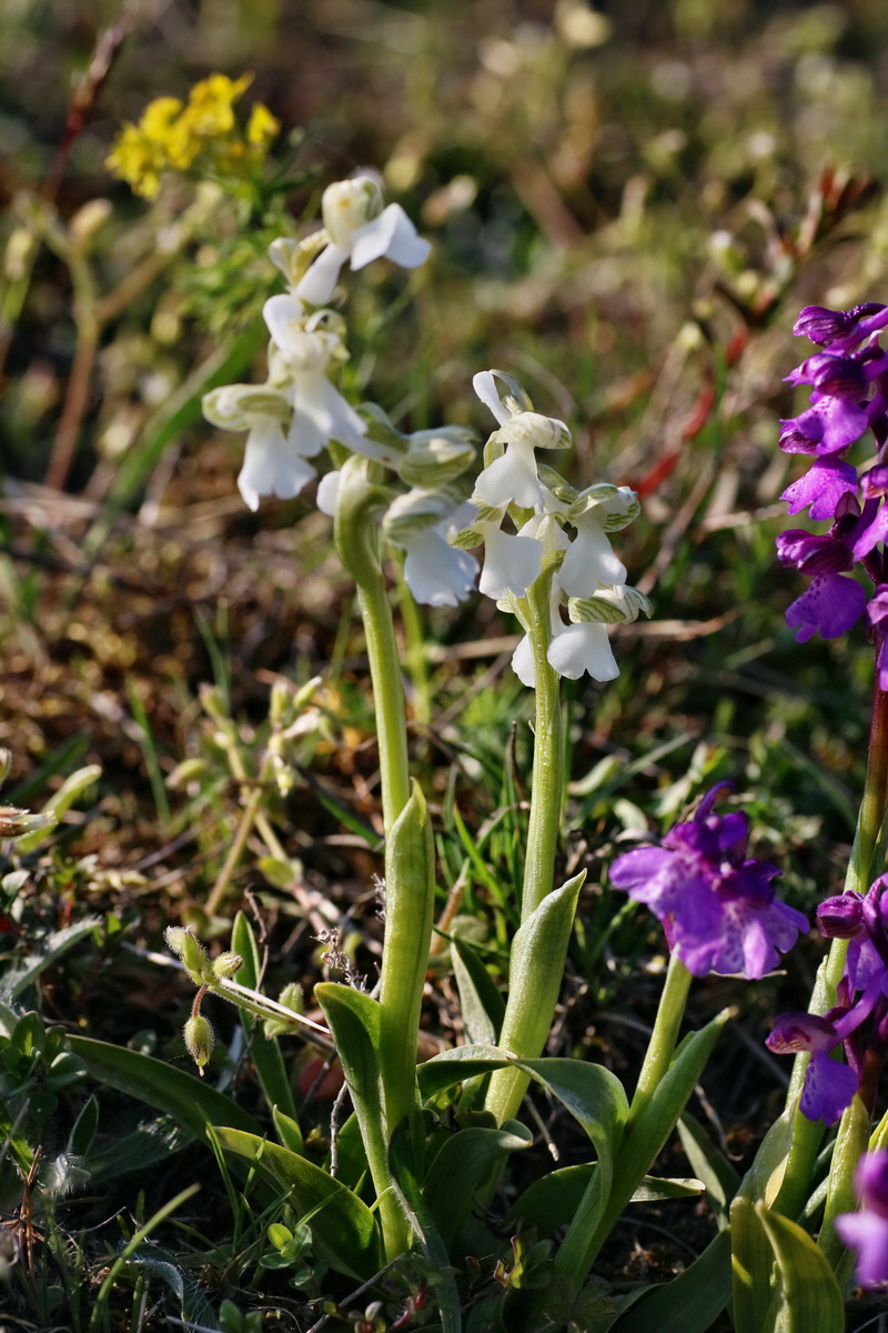 IMG-2016-05-05-00014049p_Bildgr��e �ndern