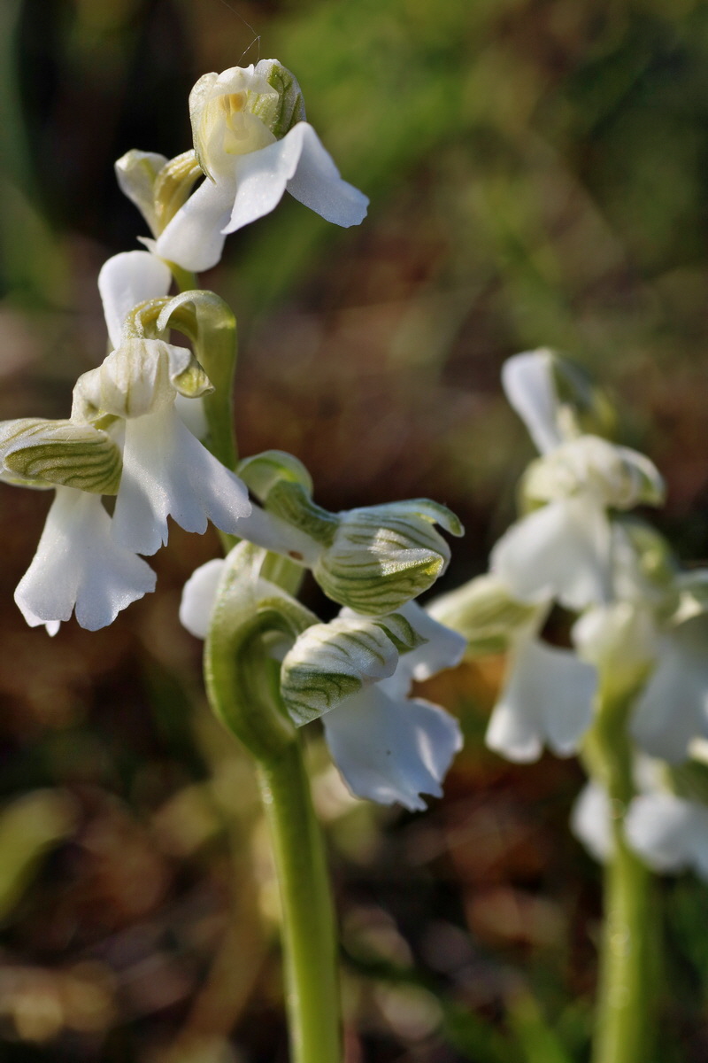 IMG-2016-05-05-00014050p_Bildgr��e �ndern