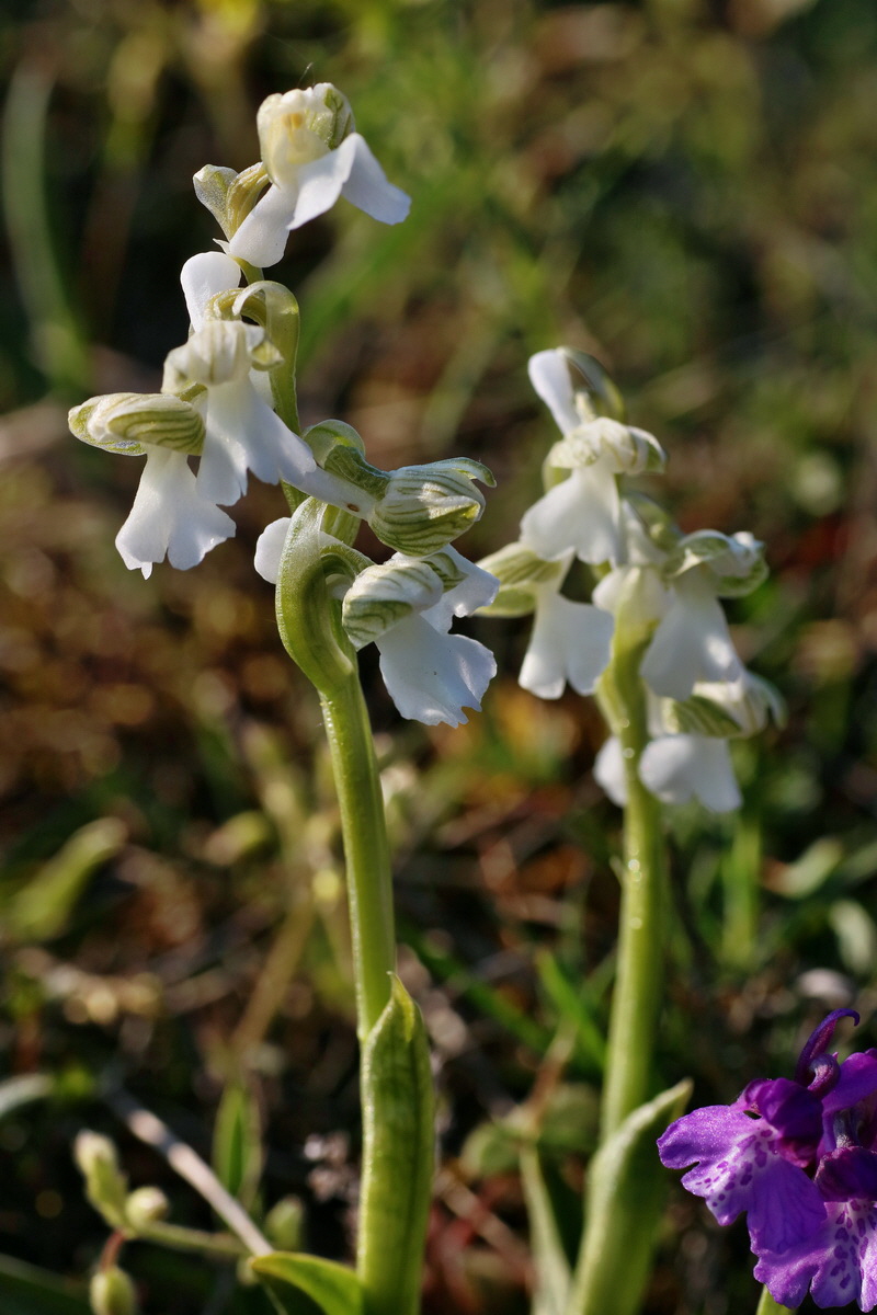 IMG-2016-05-05-00014053p_Bildgr��e �ndern