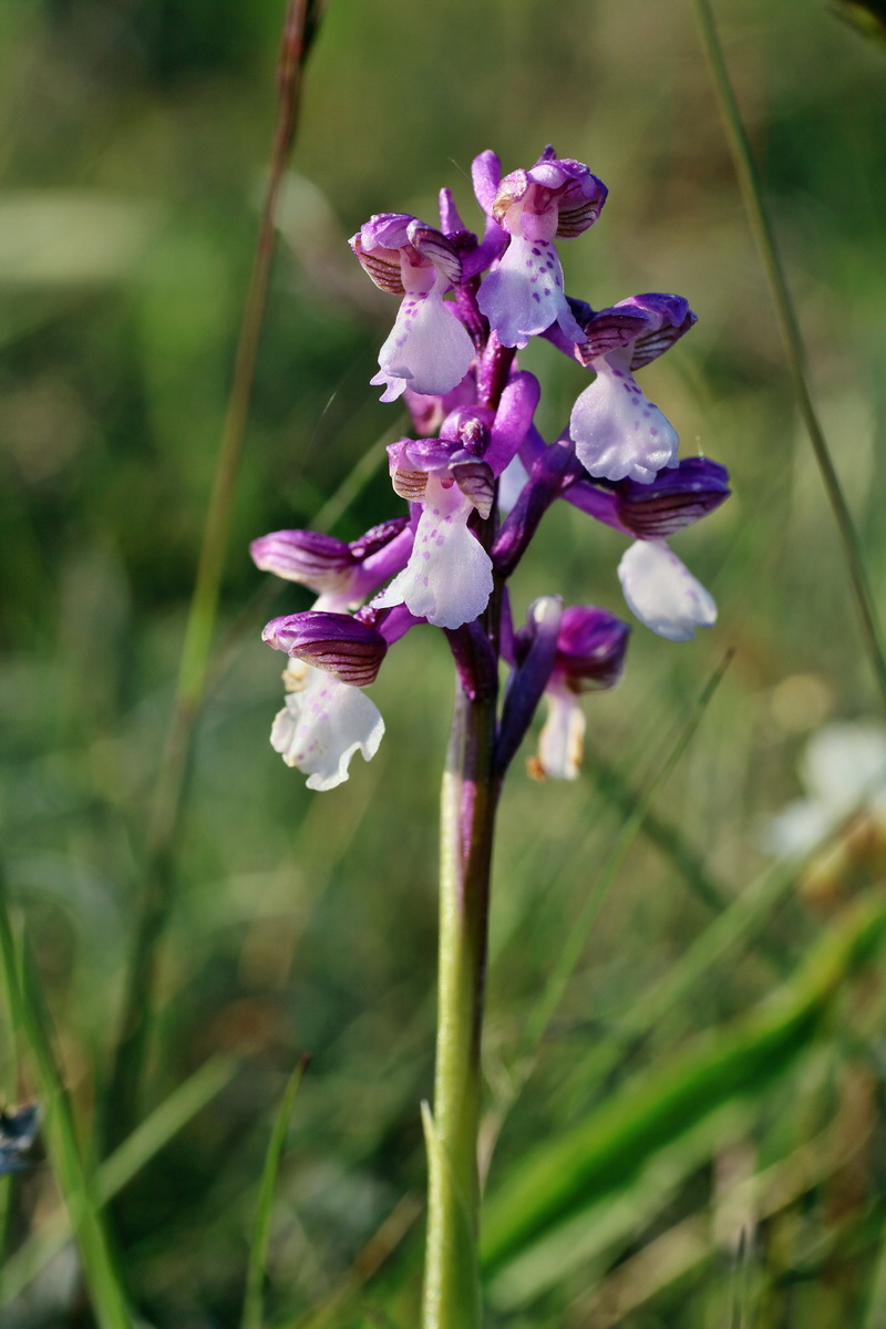 IMG-2016-05-05-00014055p_Bildgr��e �ndern