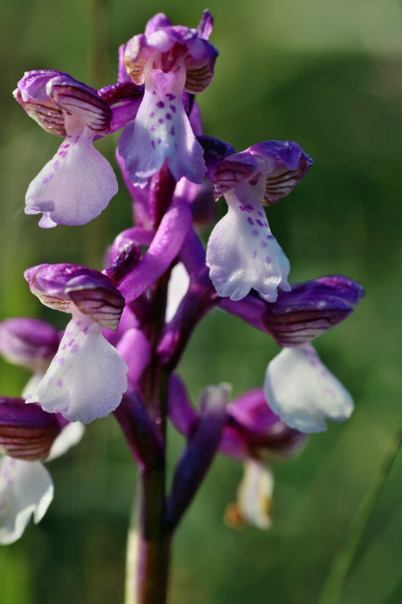 IMG-2016-05-05-00014057p_Bildgr��e �ndern