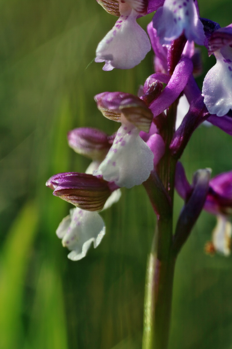 IMG-2016-05-05-00014060p_Bildgr��e �ndern