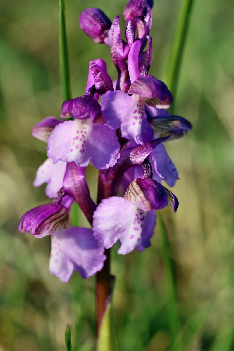 IMG-2016-05-05-00014062p_Bildgr��e �ndern