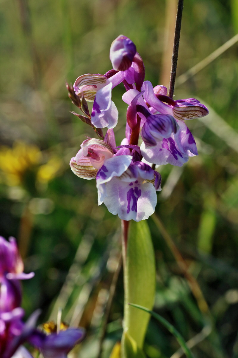 IMG-2016-05-05-00014063p_Bildgr��e �ndern