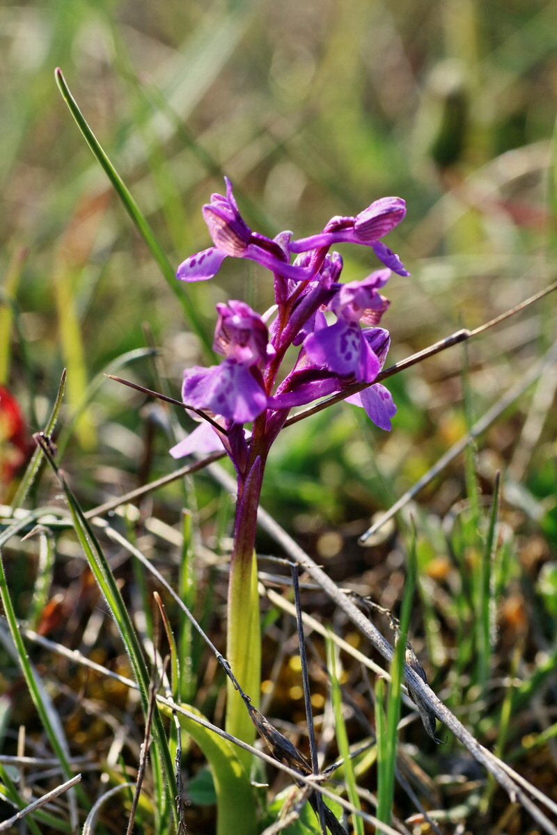 IMG-2016-05-05-00014066p_Bildgr��e �ndern