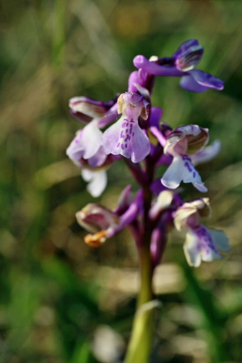 IMG-2016-05-05-00014069p_Bildgr��e �ndern