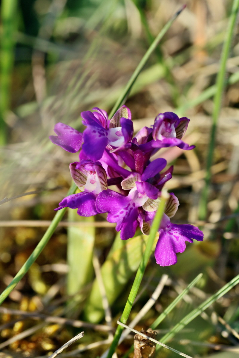 IMG-2016-05-05-00014076p_Bildgr��e �ndern