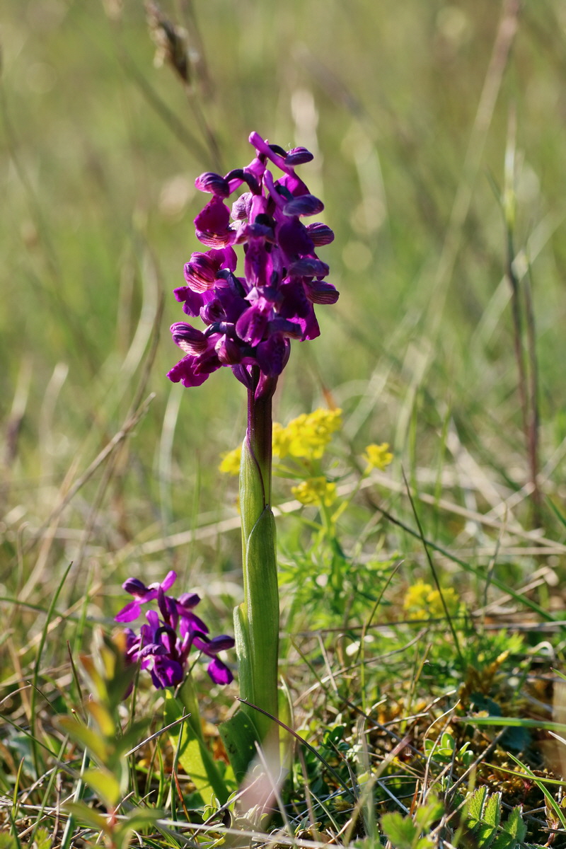 IMG-2016-05-05-00014103p_Bildgr��e �ndern