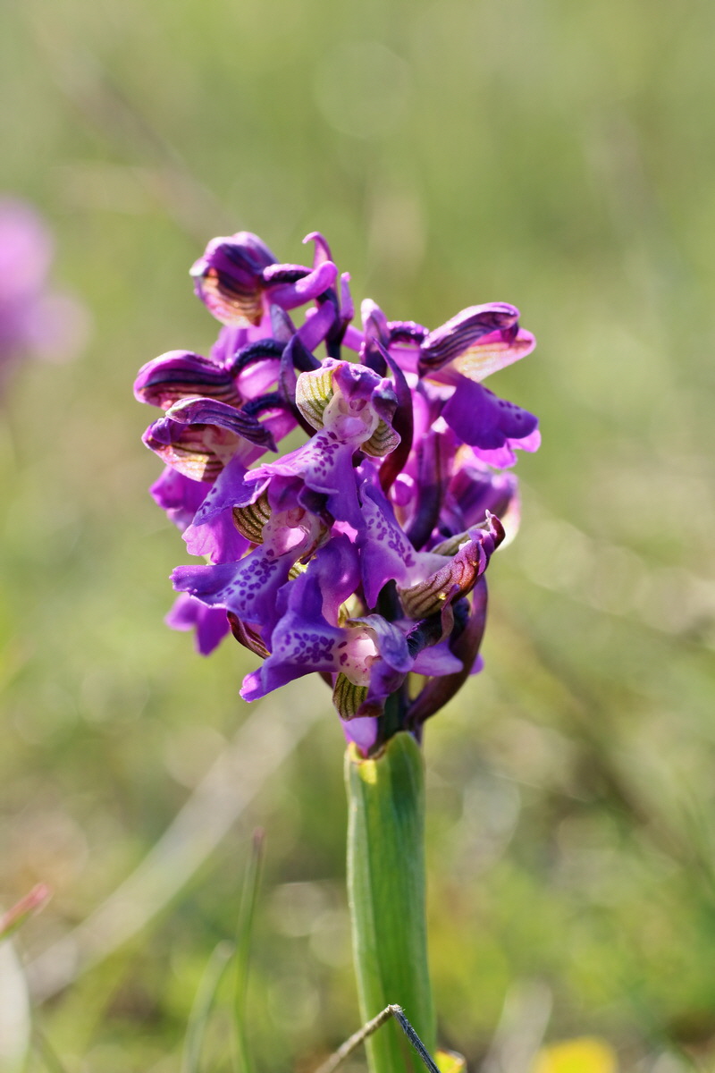 IMG-2016-05-05-00014105p_Bildgr��e �ndern