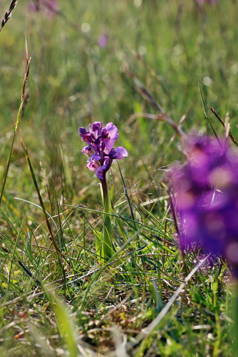 IMG-2016-05-05-00014107p_Bildgr��e �ndern