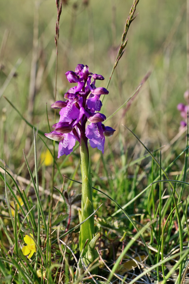 IMG-2016-05-05-00014110p_Bildgr��e �ndern