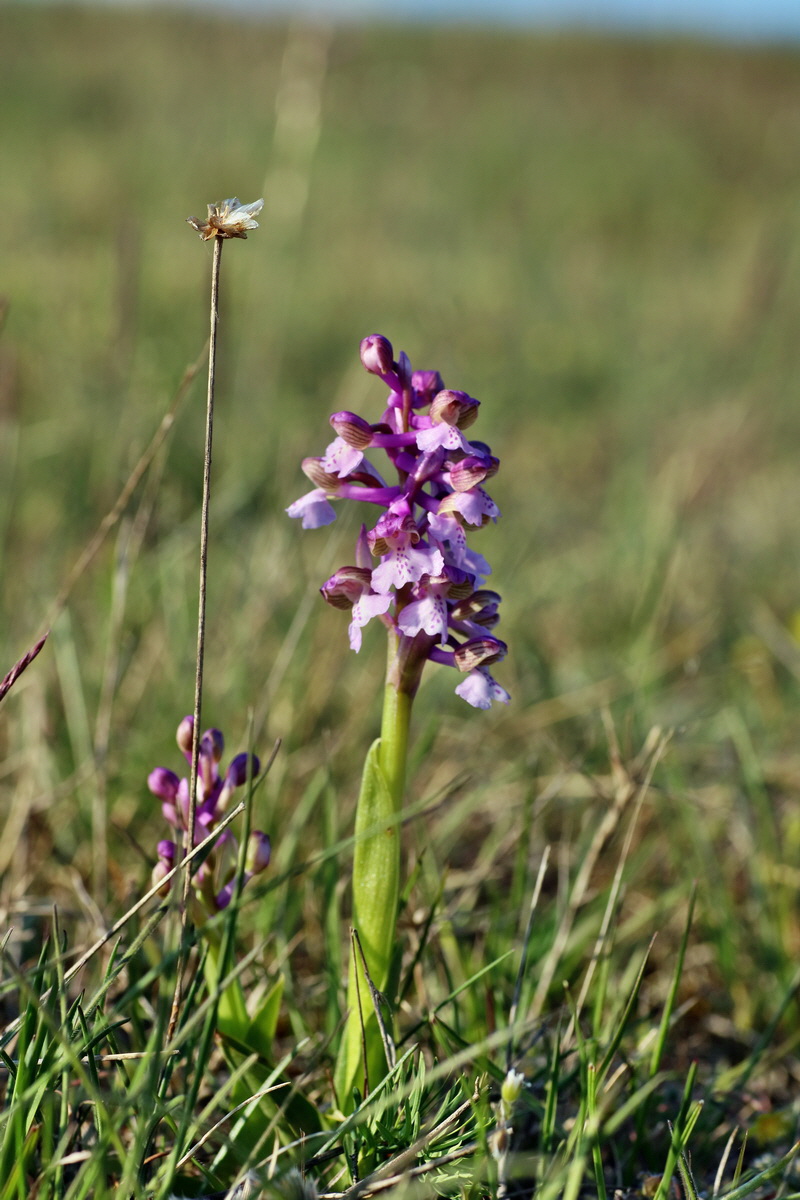 IMG-2016-05-05-00014112p_Bildgr��e �ndern