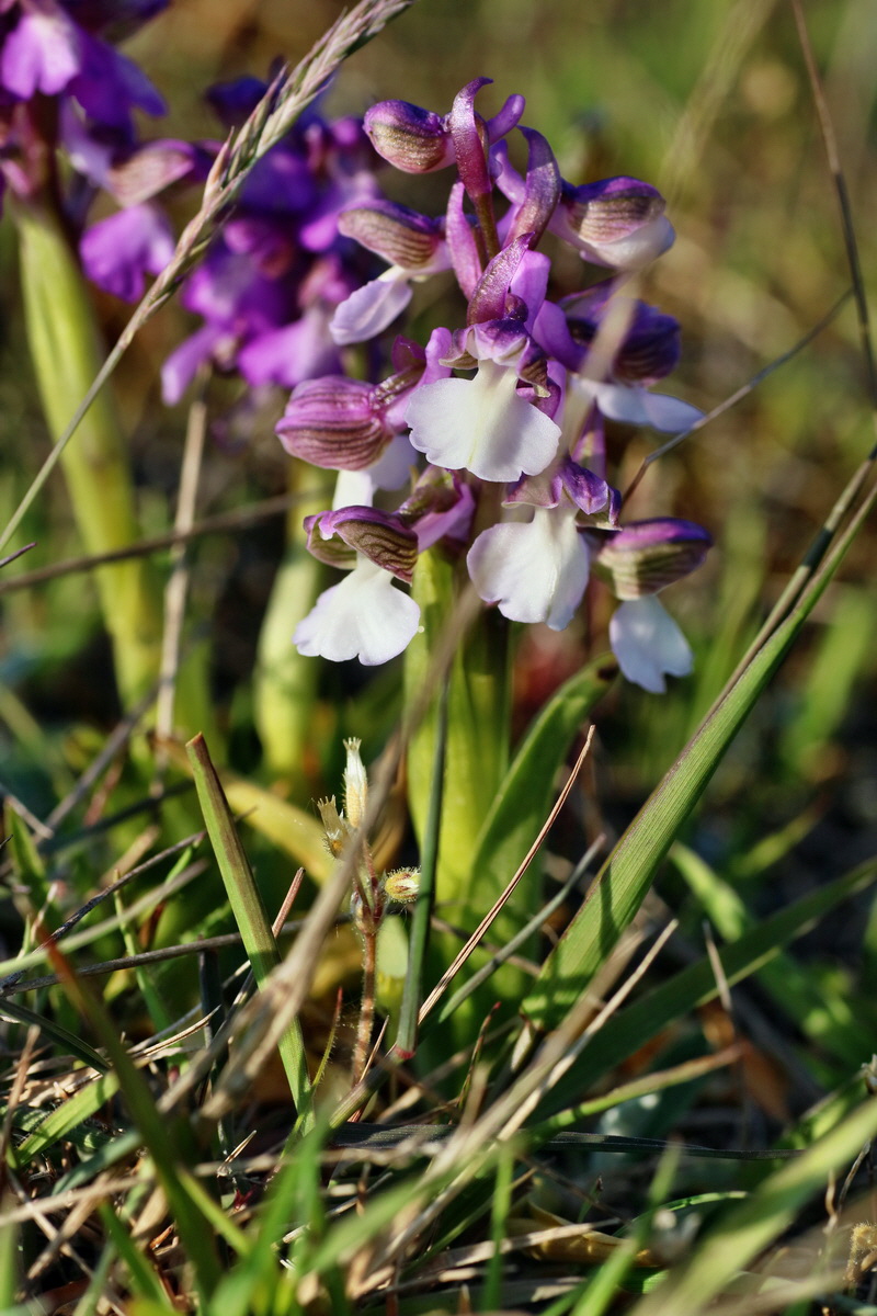 IMG-2016-05-05-00014210p_Bildgr��e �ndern