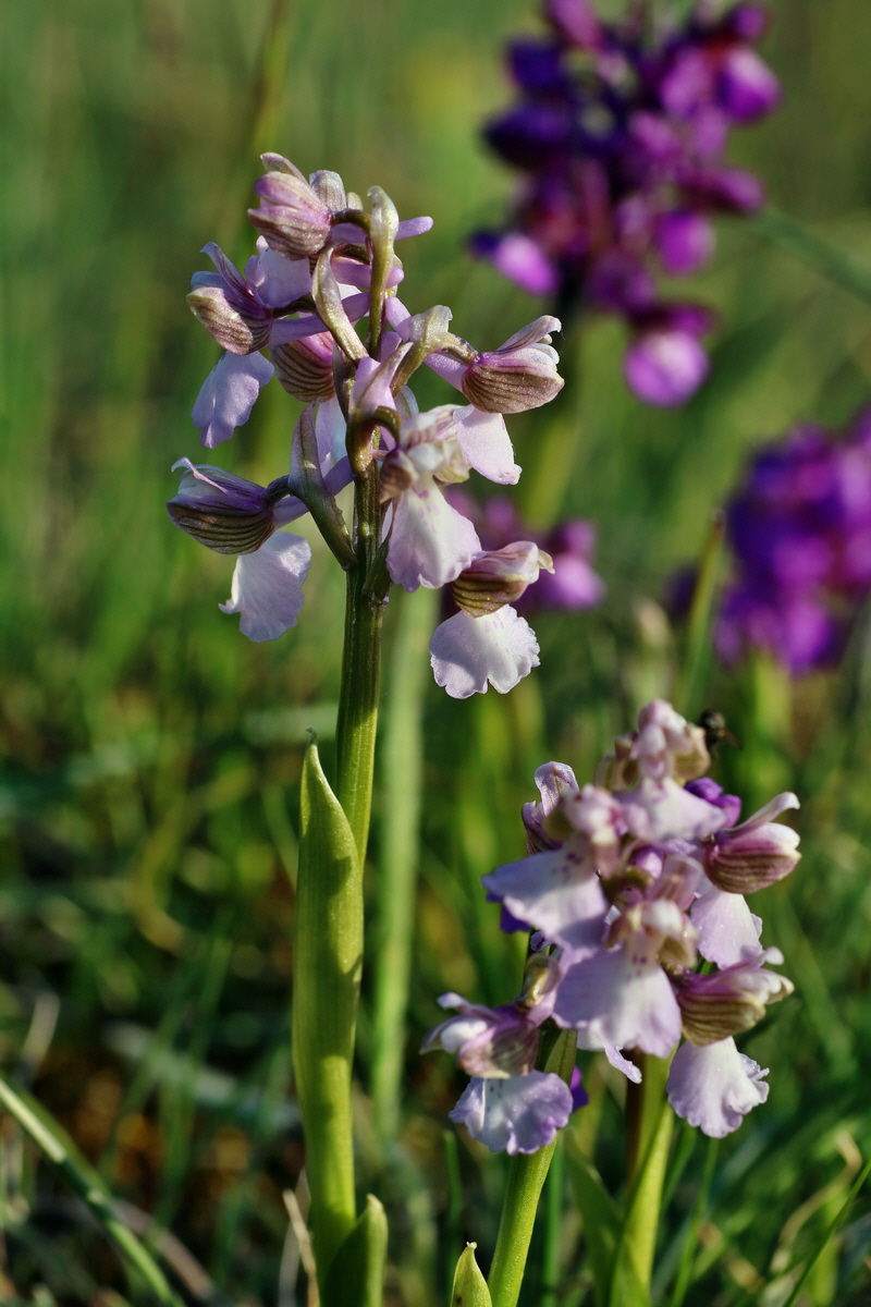 IMG-2016-05-05-00014245p_Bildgr��e �ndern