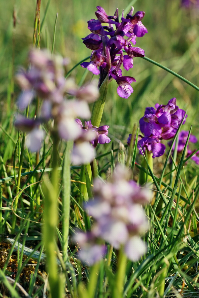 IMG-2016-05-05-00014247p_Bildgr��e �ndern