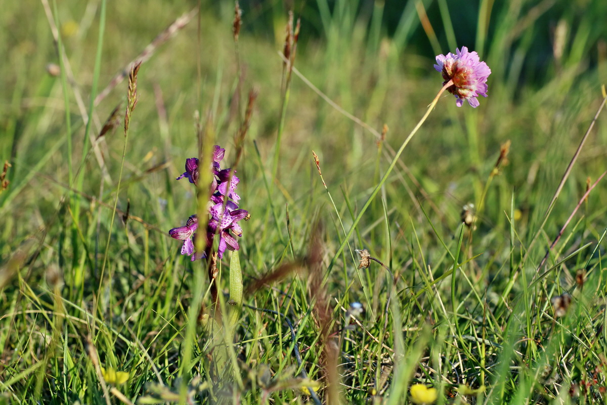 IMG-2016-05-05-00014249p_Bildgr��e �ndern