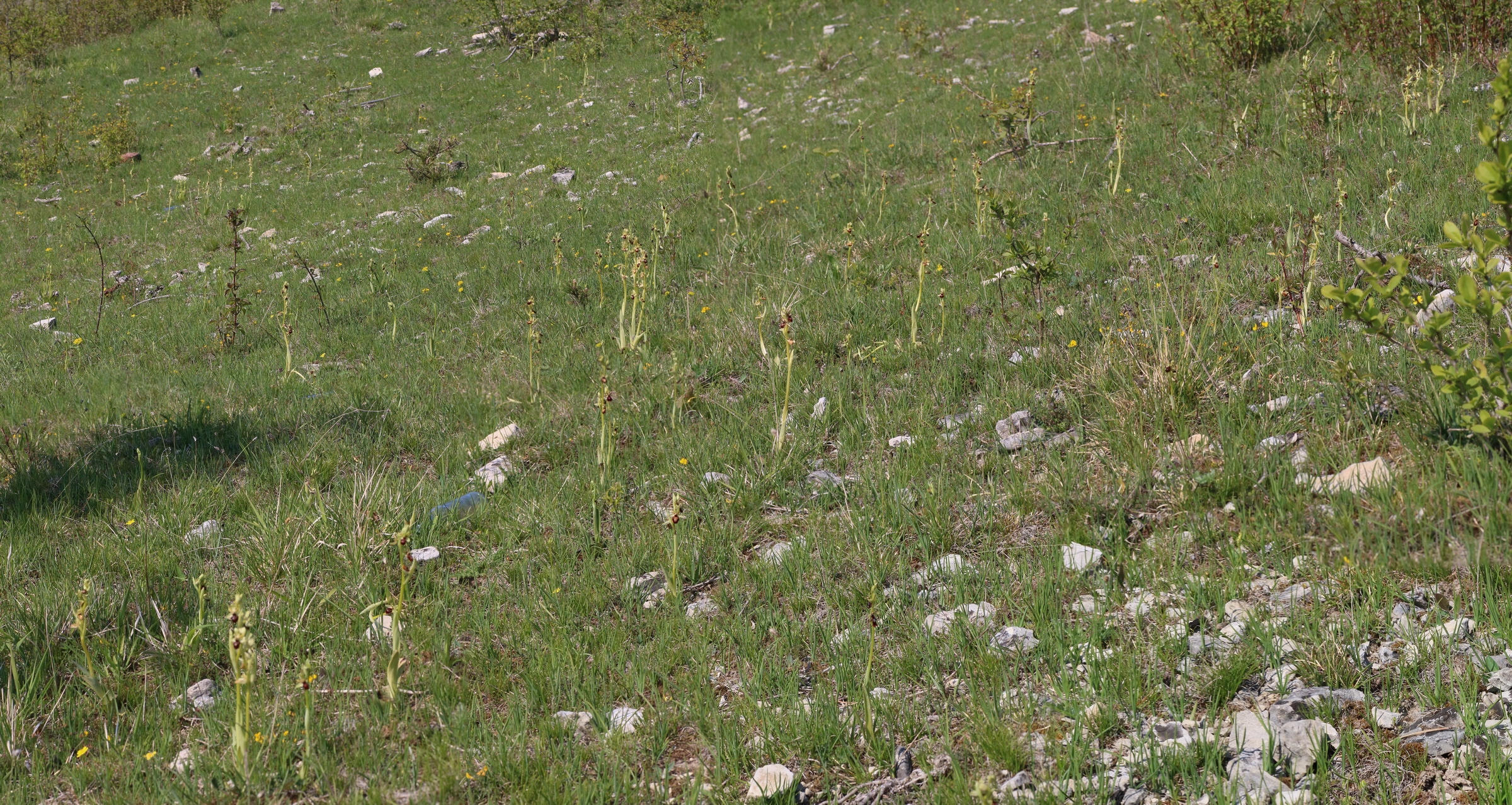 [Group 3]-IMG-2016-05-05-00013704_IMG-2016-05-05-00013720-17 images_Bildgr��e �ndern