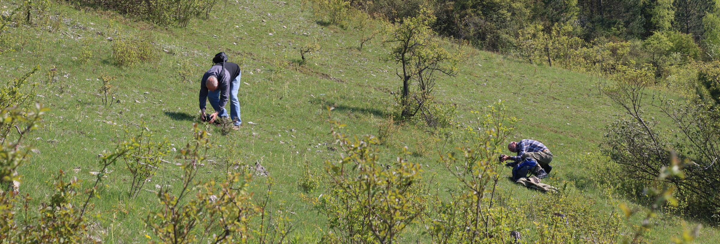 [Group 3]-IMG-2016-05-05-00013776_IMG-2016-05-05-00013784-9 images_Bildgr��e �ndern