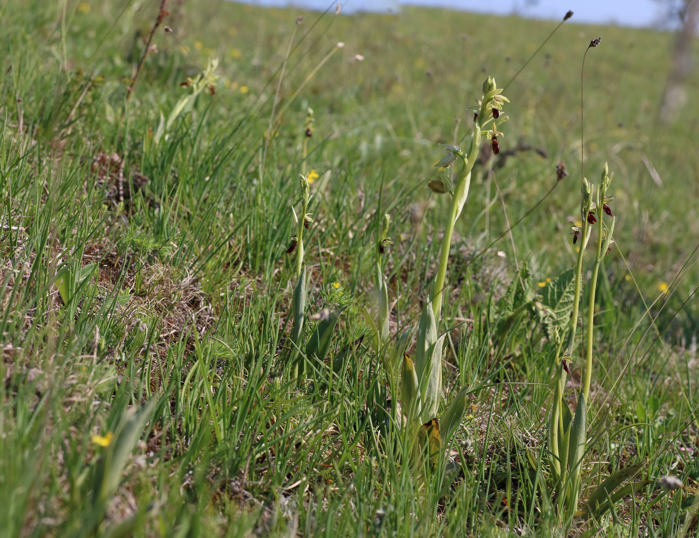 [Group 3]-IMG-2016-05-05-00013837_IMG-2016-05-05-00013845-9 images_Bildgr��e �ndern