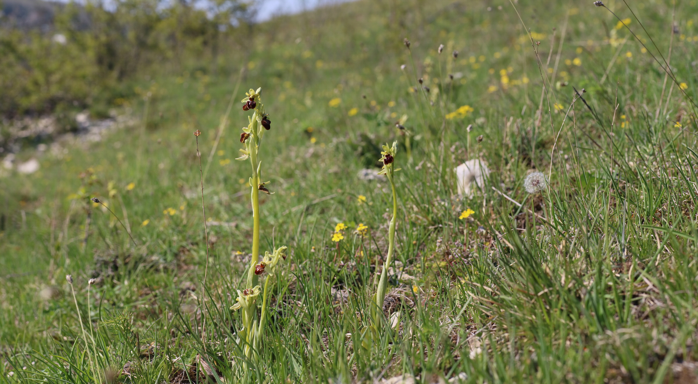 [Group 3]-IMG-2016-05-05-00013846_IMG-2016-05-05-00013856-11 images_Bildgr��e �ndern