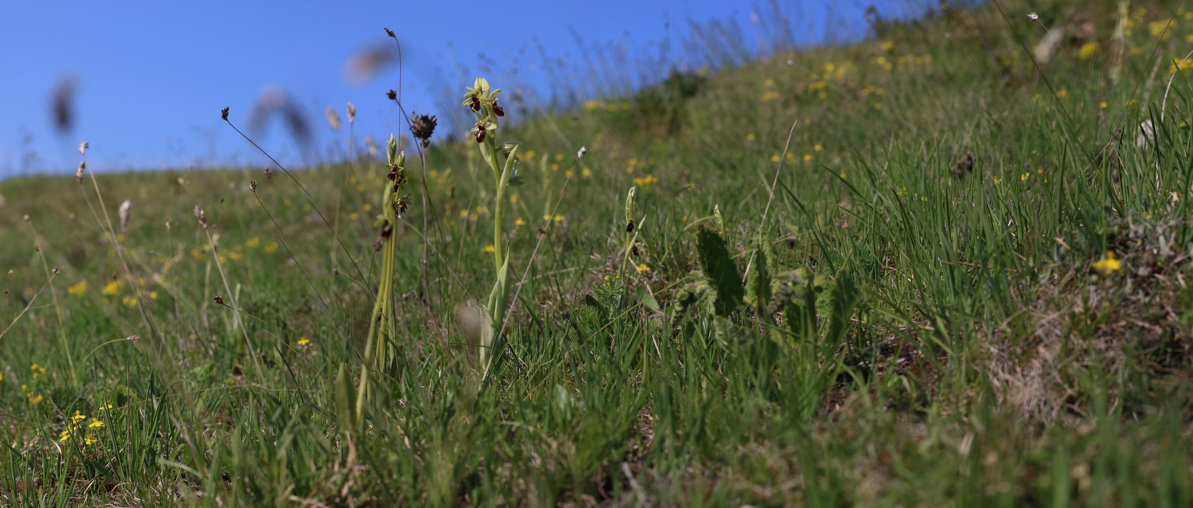 [Group 3]-IMG-2016-05-05-00013857_IMG-2016-05-05-00013880-24 images_Bildgr��e �ndern