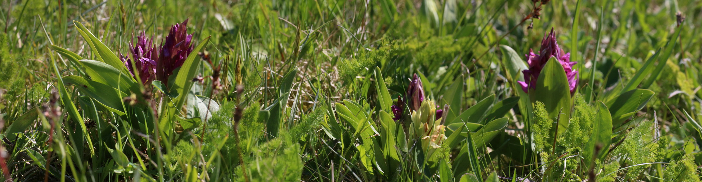 [Group 5]-IMG-2016-05-05-00013557_IMG-2016-05-05-00013564-8 images_Bildgr��e �ndern