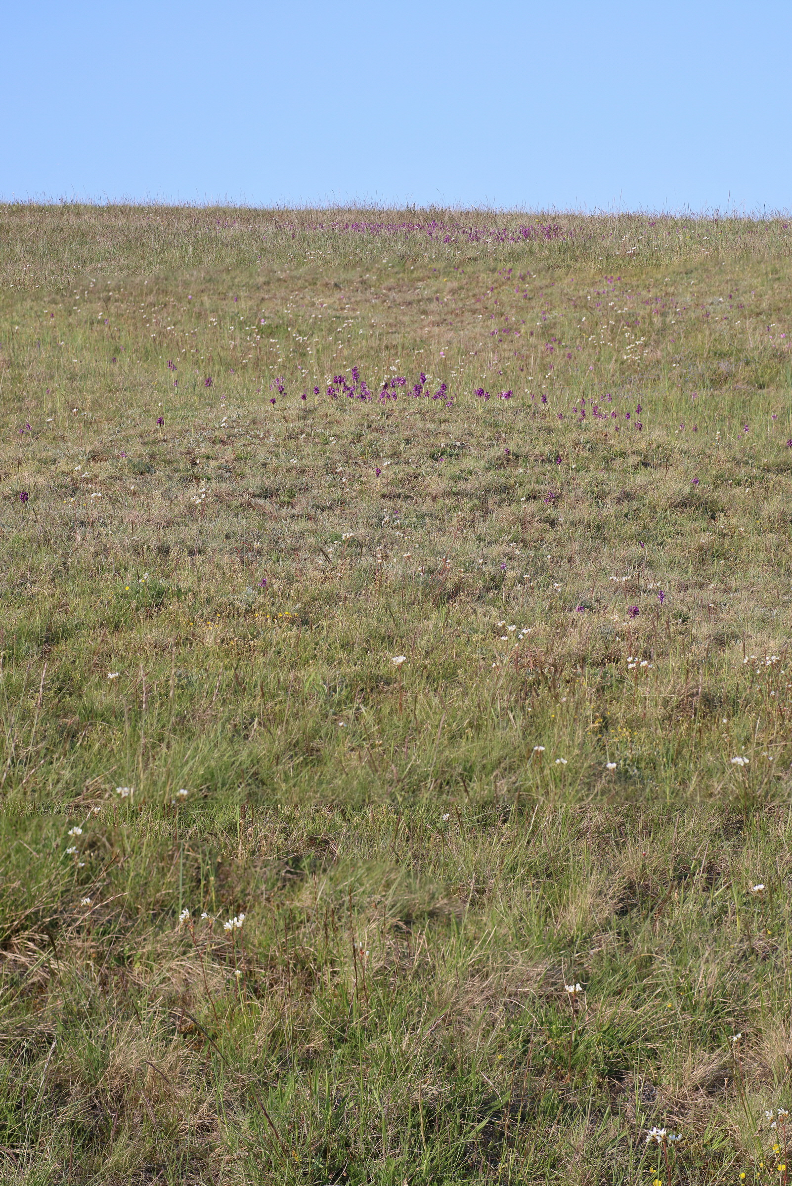 [Group 6]-IMG-2016-05-05-00014214_IMG-2016-05-05-00014218-5 images_Bildgr��e �ndern