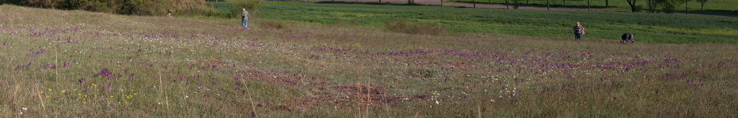 [Group 6]-IMG-2016-05-05-00014229_IMG-2016-05-05-00014244-16 images_Bildgr��e �ndern