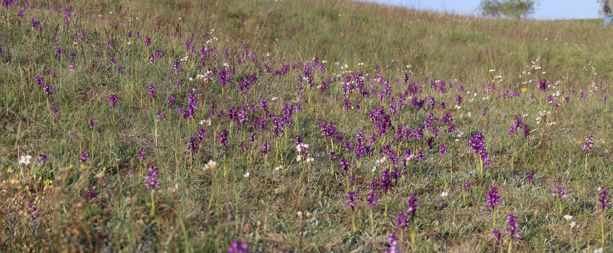 [Group 6]-IMG-2016-05-05-00014255_IMG-2016-05-05-00014268-14 images_Bildgr��e �ndern