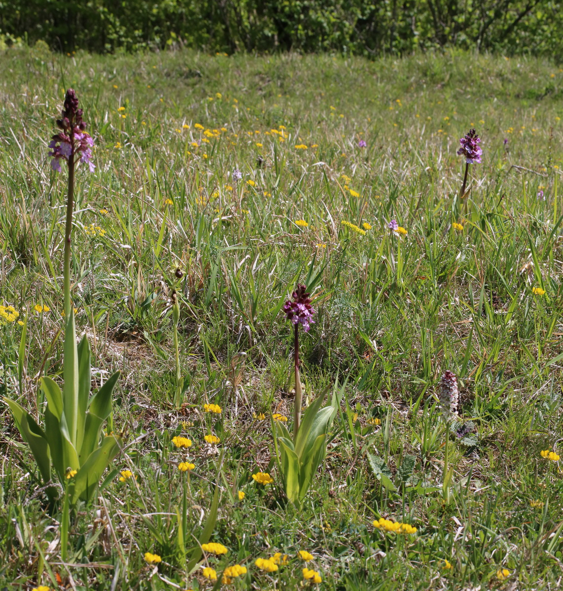 [Group 5]-IMG-2016-05-08-00014479_IMG-2016-05-08-00014502-3 images_Bildgr��e �ndern