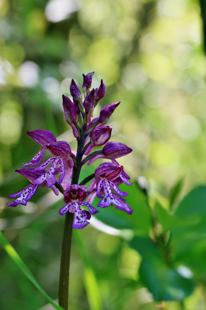 IMG-2016-05-08-00014297p_Bildgr��e �ndern