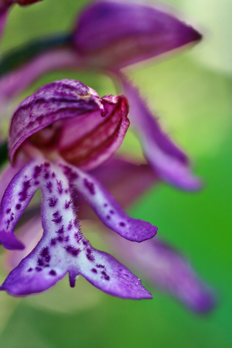 IMG-2016-05-08-00014300p_Bildgr��e �ndern