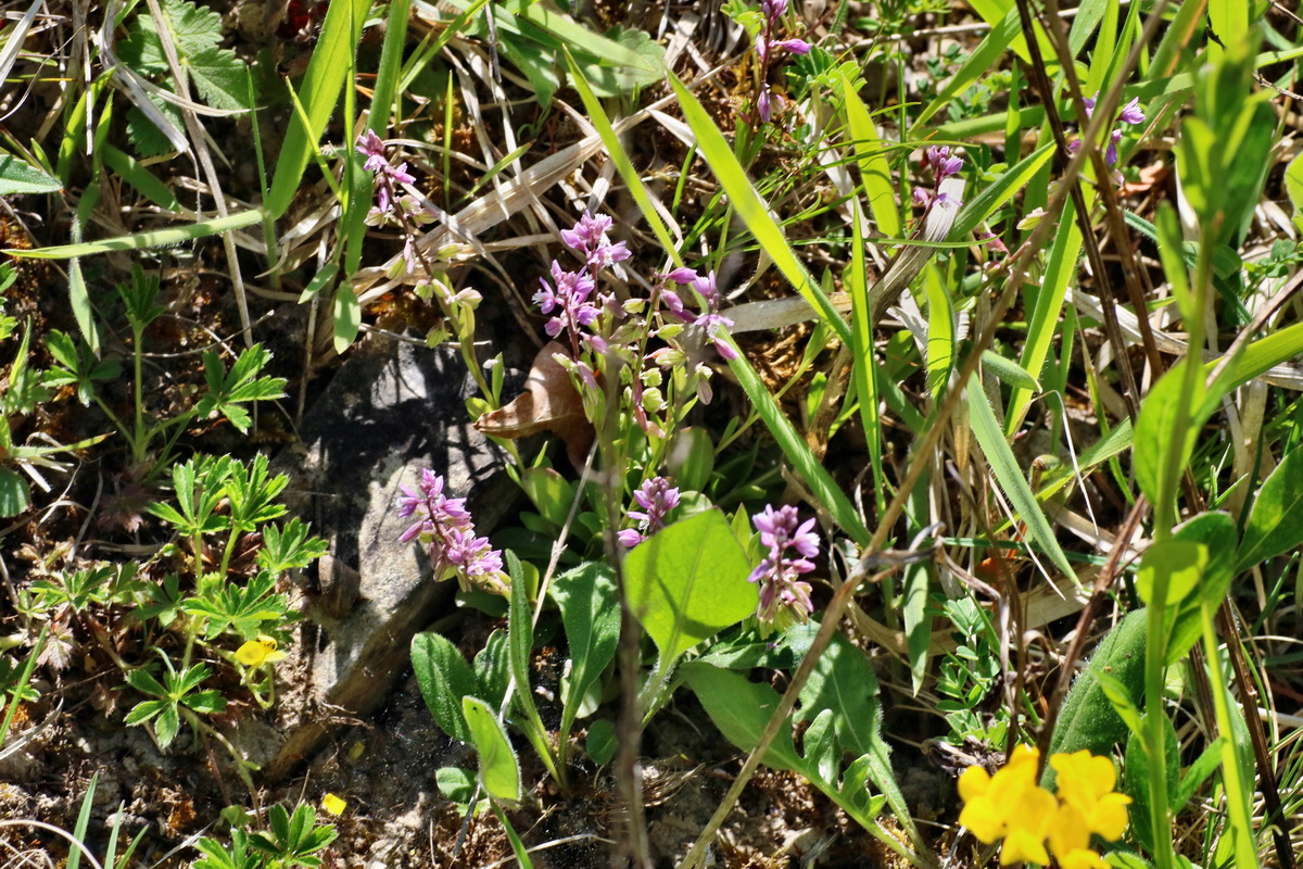 IMG-2016-05-08-00014315p_Bildgr��e �ndern