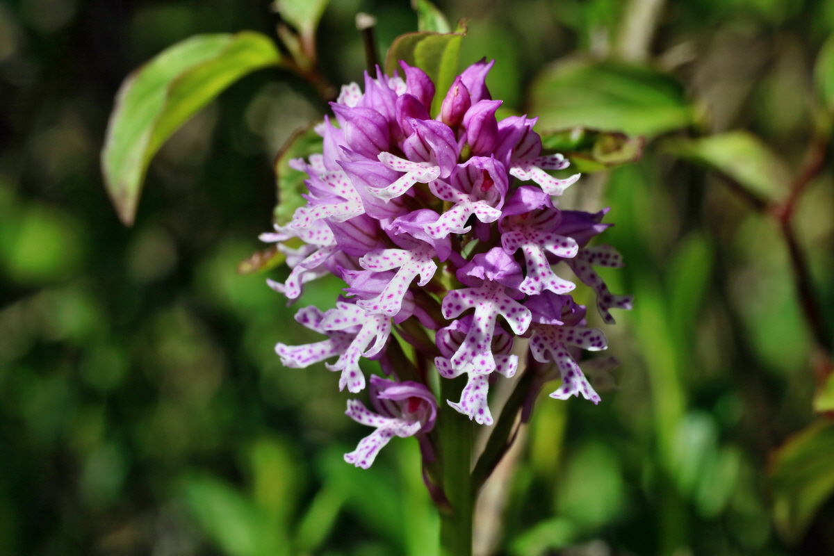 IMG-2016-05-08-00014319p_Bildgr��e �ndern