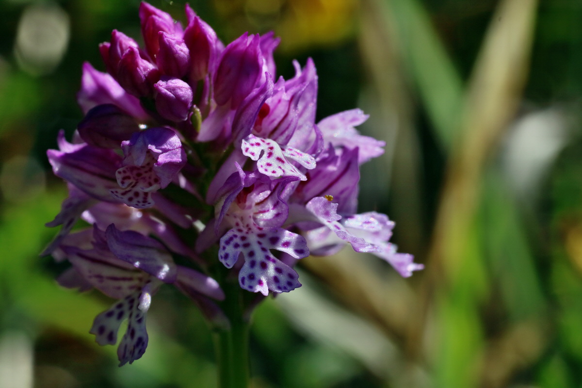 IMG-2016-05-08-00014322p_Bildgr��e �ndern