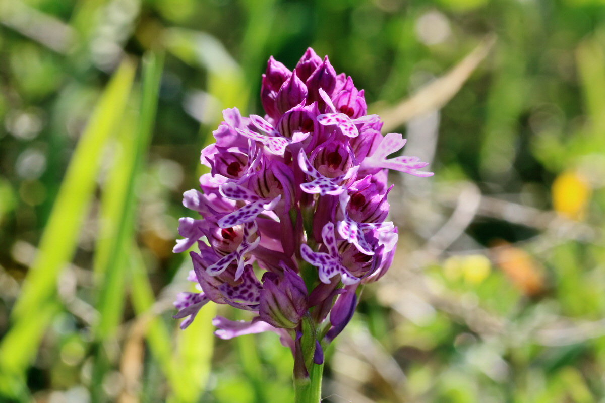 IMG-2016-05-08-00014328p_Bildgr��e �ndern